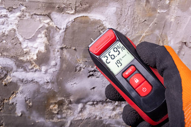 Best Post-Flood Mold Remediation in Strafford, MO