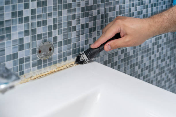 Best Mold Testing and Inspection Services in Strafford, MO